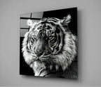 Tiger's Look Glass Wall Art
