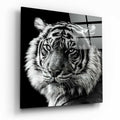 Tiger's Look Glass Wall Art