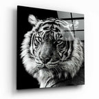 Tiger's Look Glass Wall Art